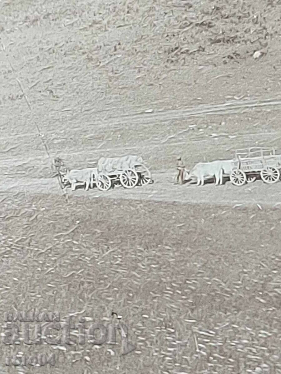 OLD WAR PHOTO - WW I - 5 OLD WAR PHOTO - WW I - 5