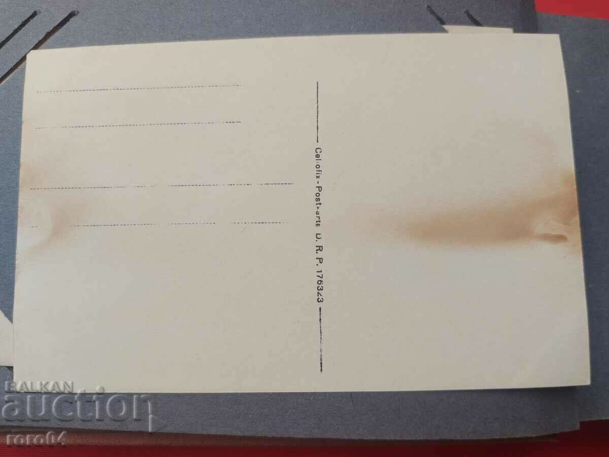 OLD WAR PHOTO - WW I - 7 OLD WAR PHOTO - WW I - 7