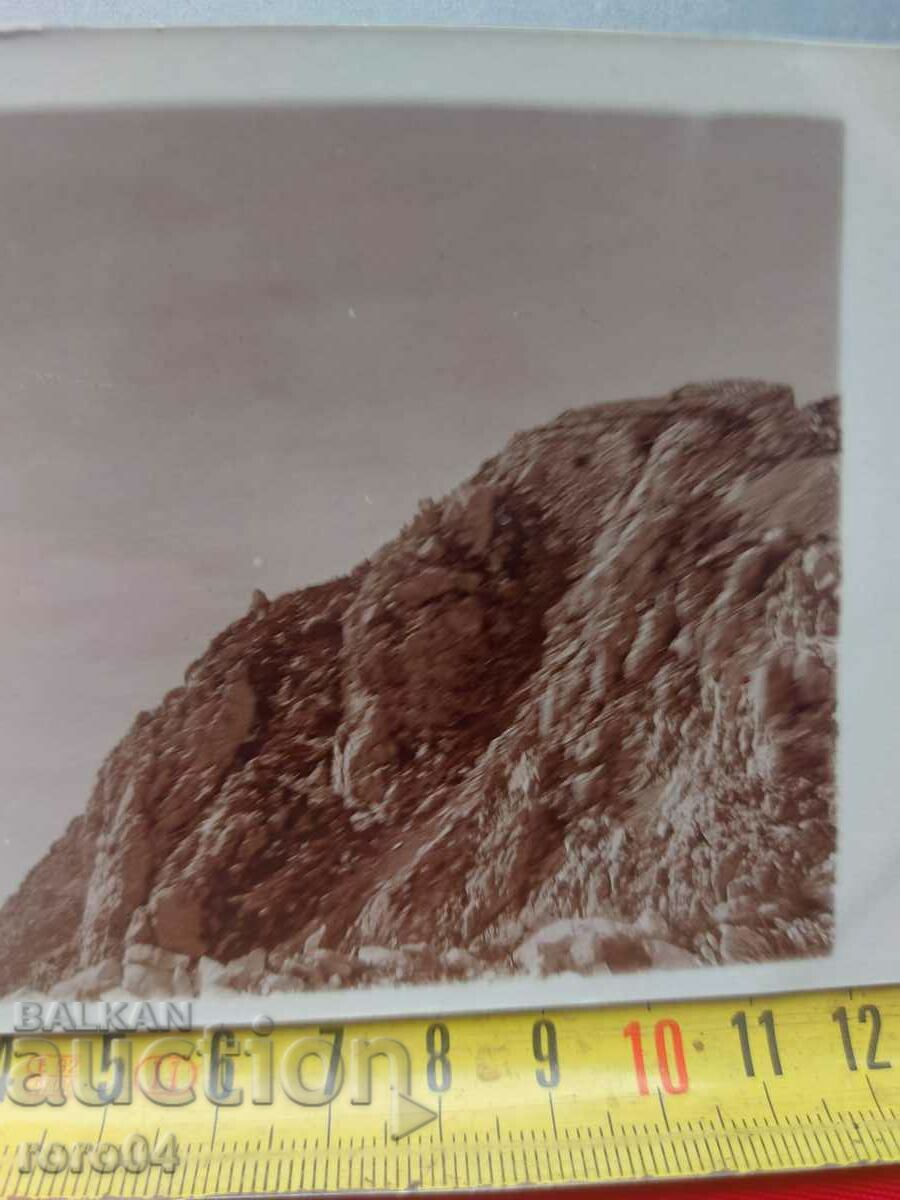 Auction  OLD WAR PHOTO - WW I