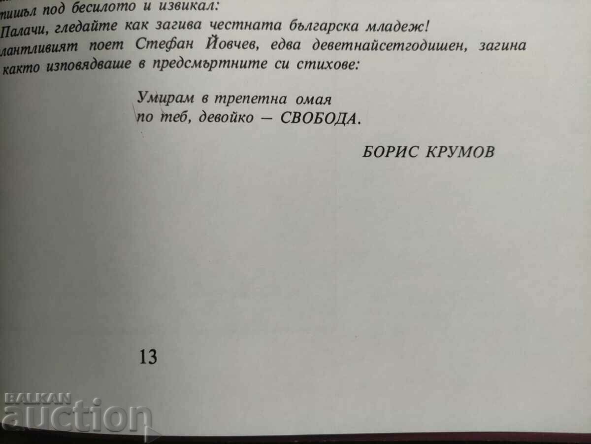 Delivery of Hearts behind bars. Boris Krumov (with dedication) Delivery of Hearts behind bars. Boris Krumov (with dedication)