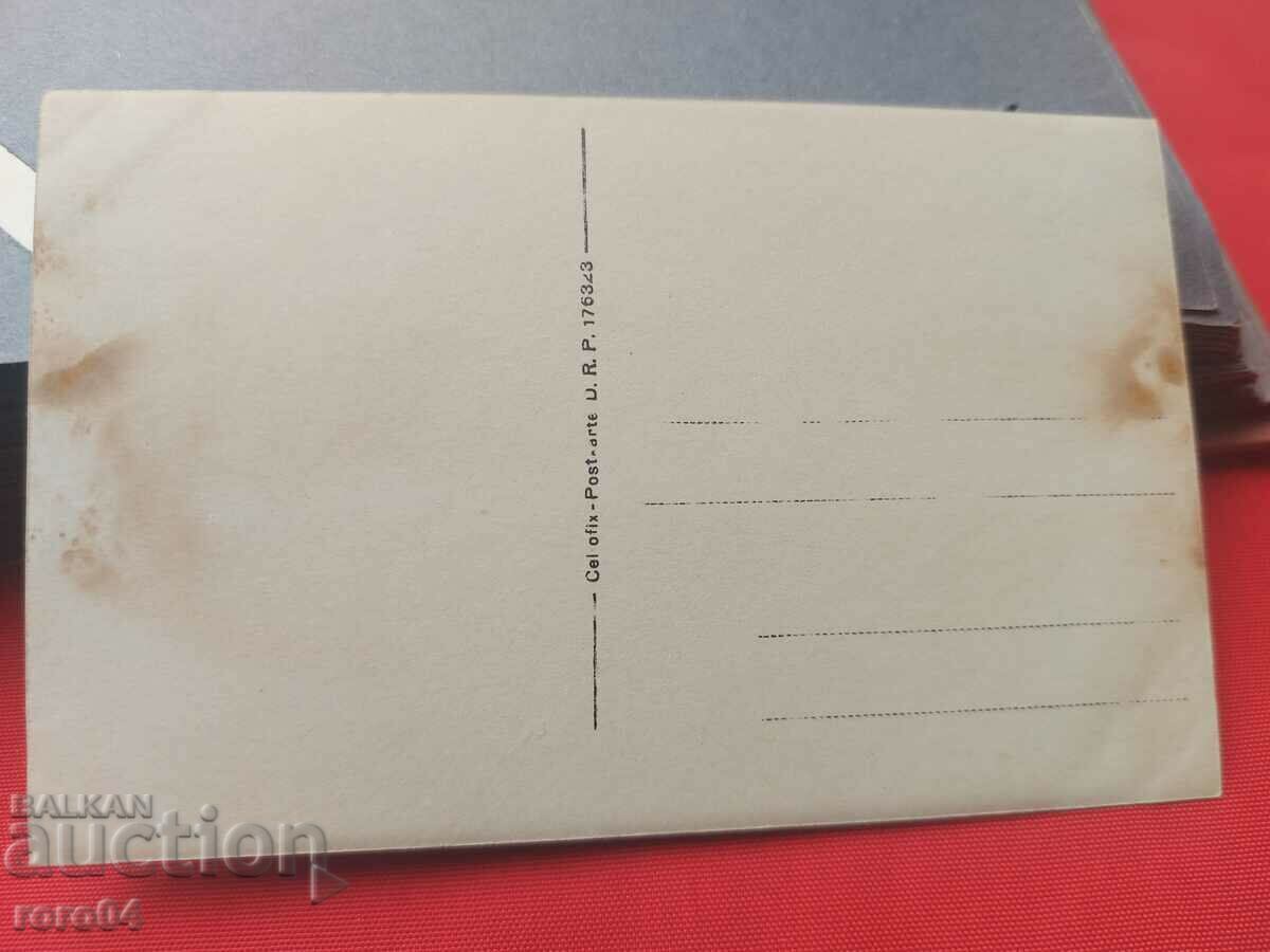 OLD WAR PHOTO - WW I - 7 OLD WAR PHOTO - WW I - 7