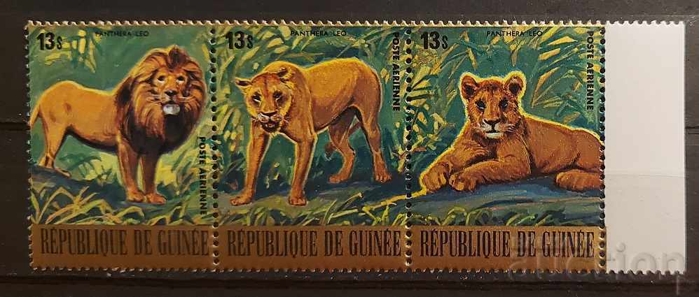 Гвинея 1977 Фауна/Животни/Лъв Голд MNH