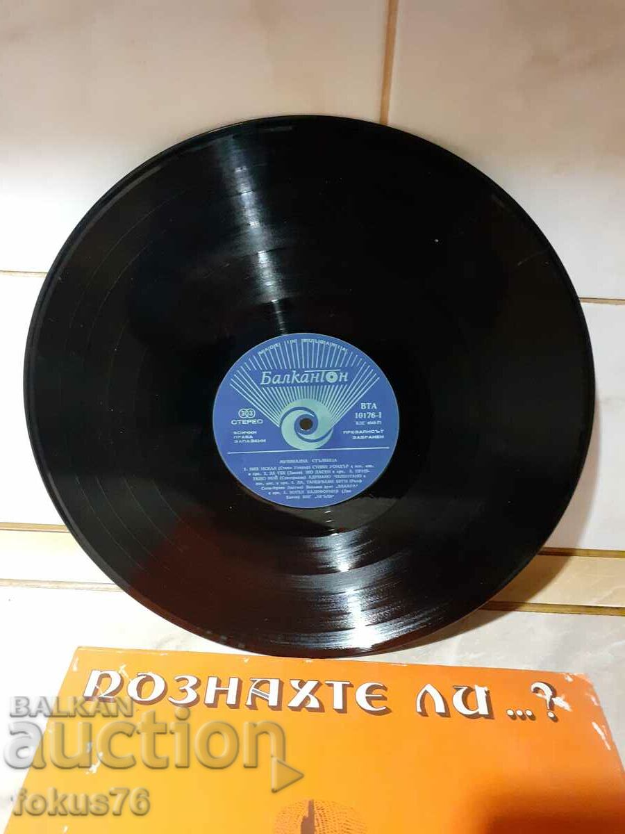 Παλιός μεγάλος δίσκος γραμμοφώνου - 6 Παλιός μεγάλος δίσκος γραμμοφώνου - 6