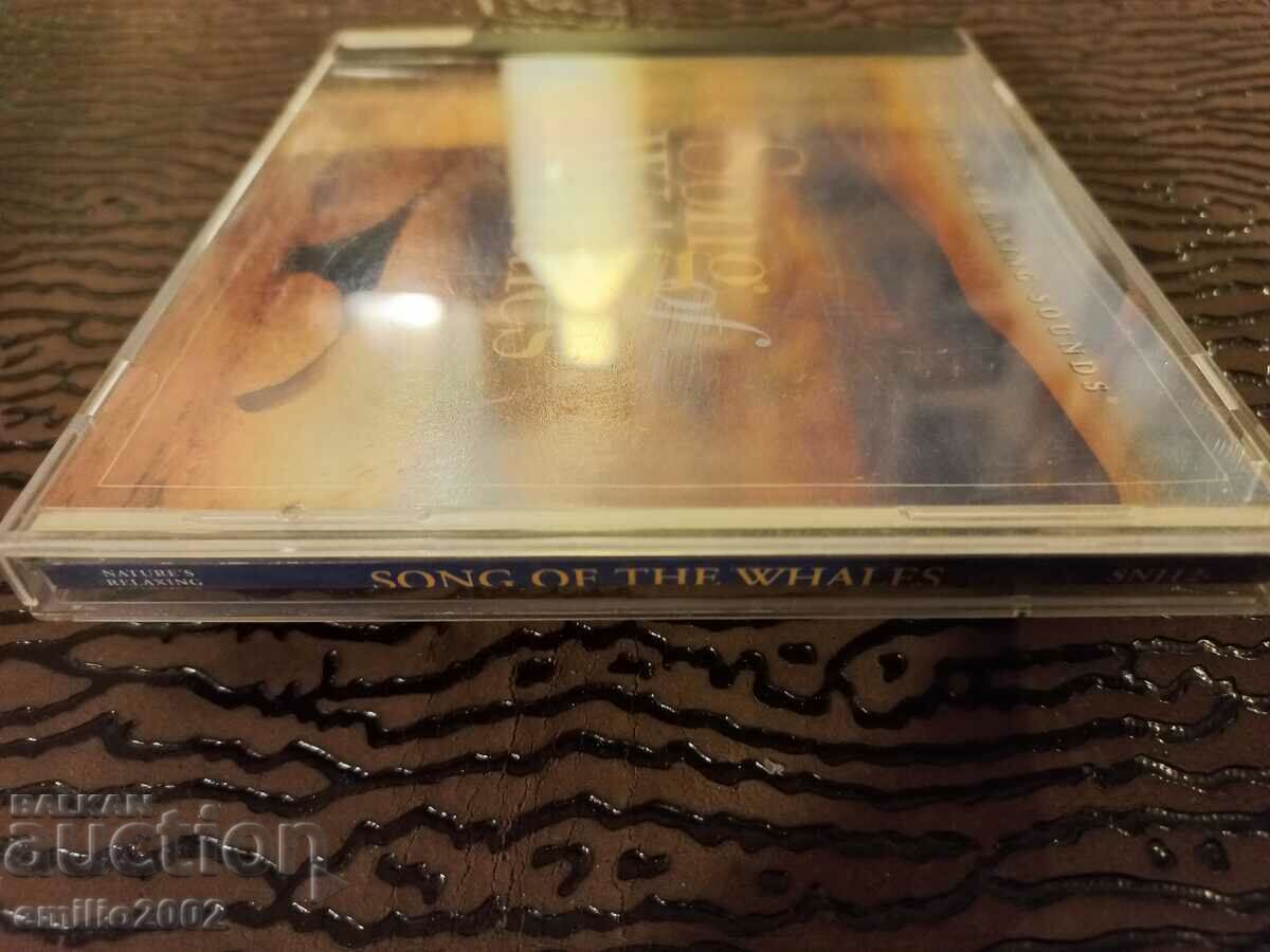 Delivery of Song the Whales Audio CD Delivery of Song the Whales Audio CD