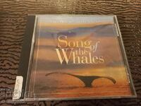 Το CD ήχου του τραγουδιού των φαλαινών
