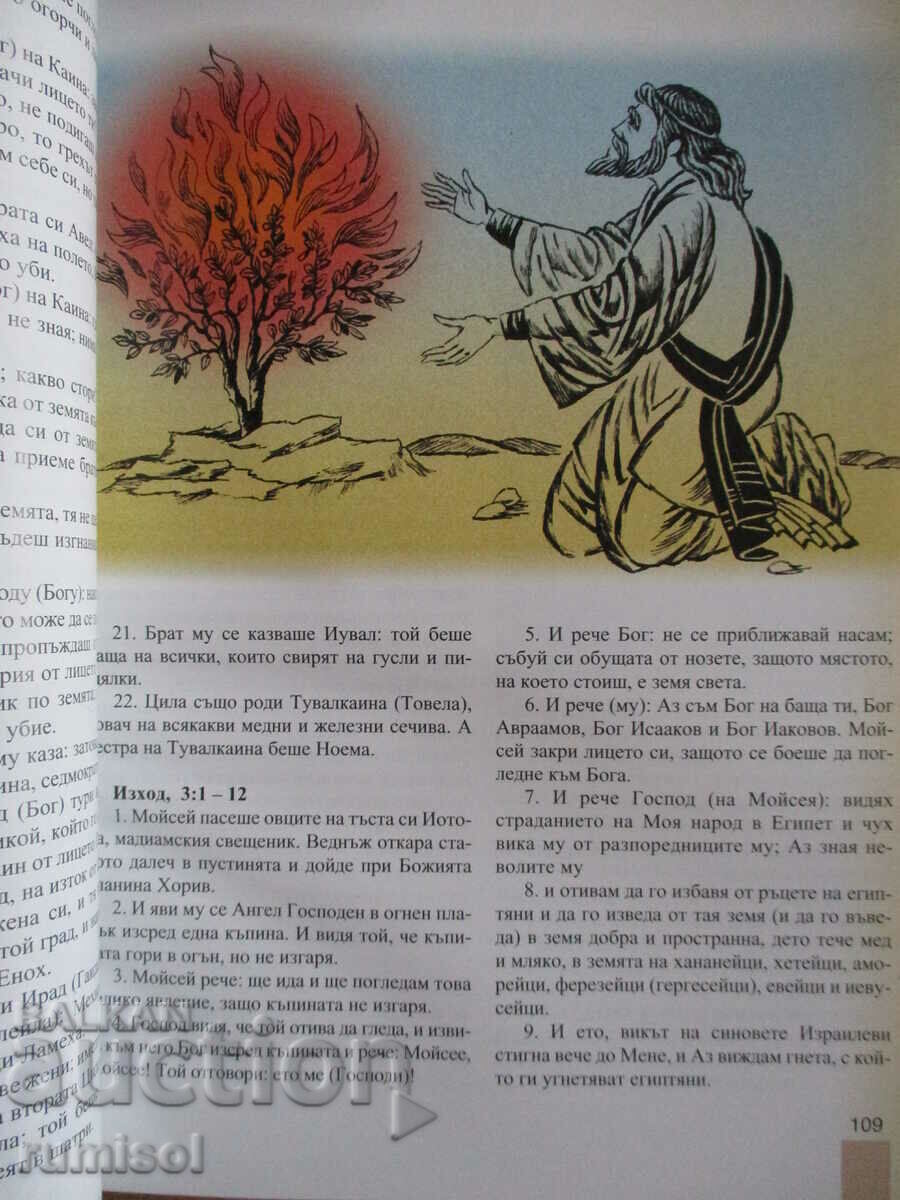 Licitație Literatură - 8 cl, Cl. Protochristova, Anubis conform noului program Licitație Literatură - 8 cl, Cl. Protochristova, Anubis conform noului program