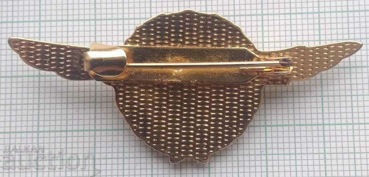 Παράδοση 12111 Badge - Junior pilot Νεαρός πιλότος