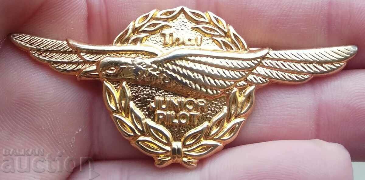 12111 Badge - Junior pilot