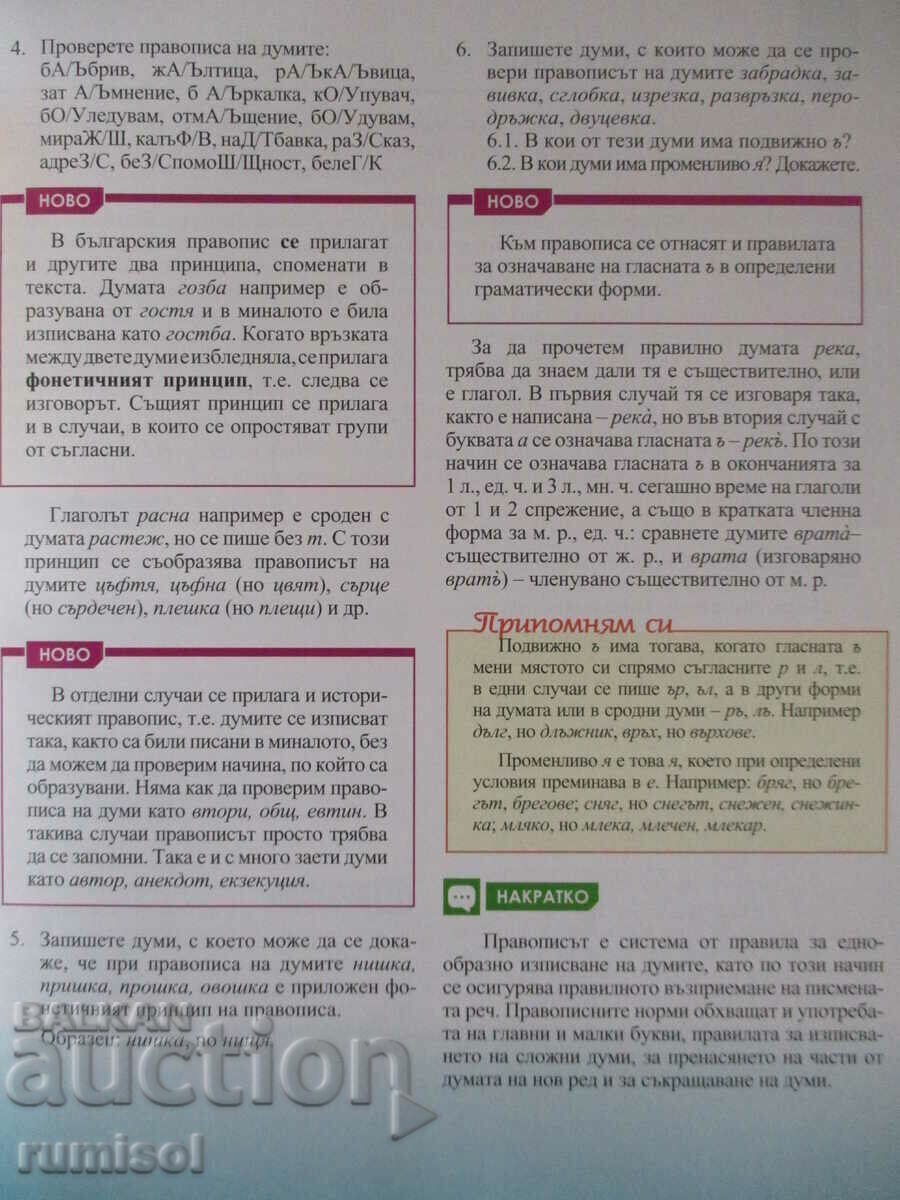 Аукцион Български ез - 8 кл, М Георгиева, Анубис по новата прогр