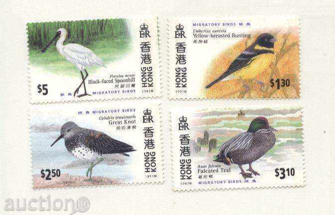 Чисти марки  Птици  1997 от Хонг Конг