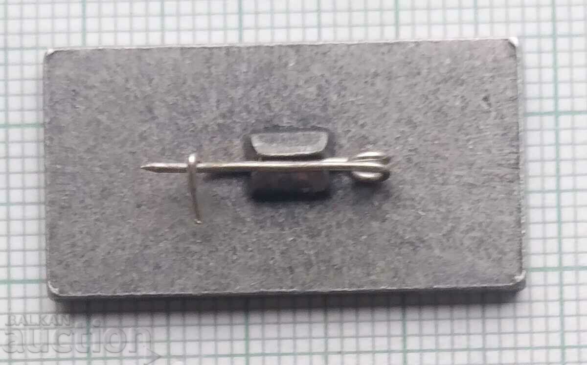 Auction 12134 Badge - Baltic Transport Company Auction 12134 Badge - Baltic Transport Company