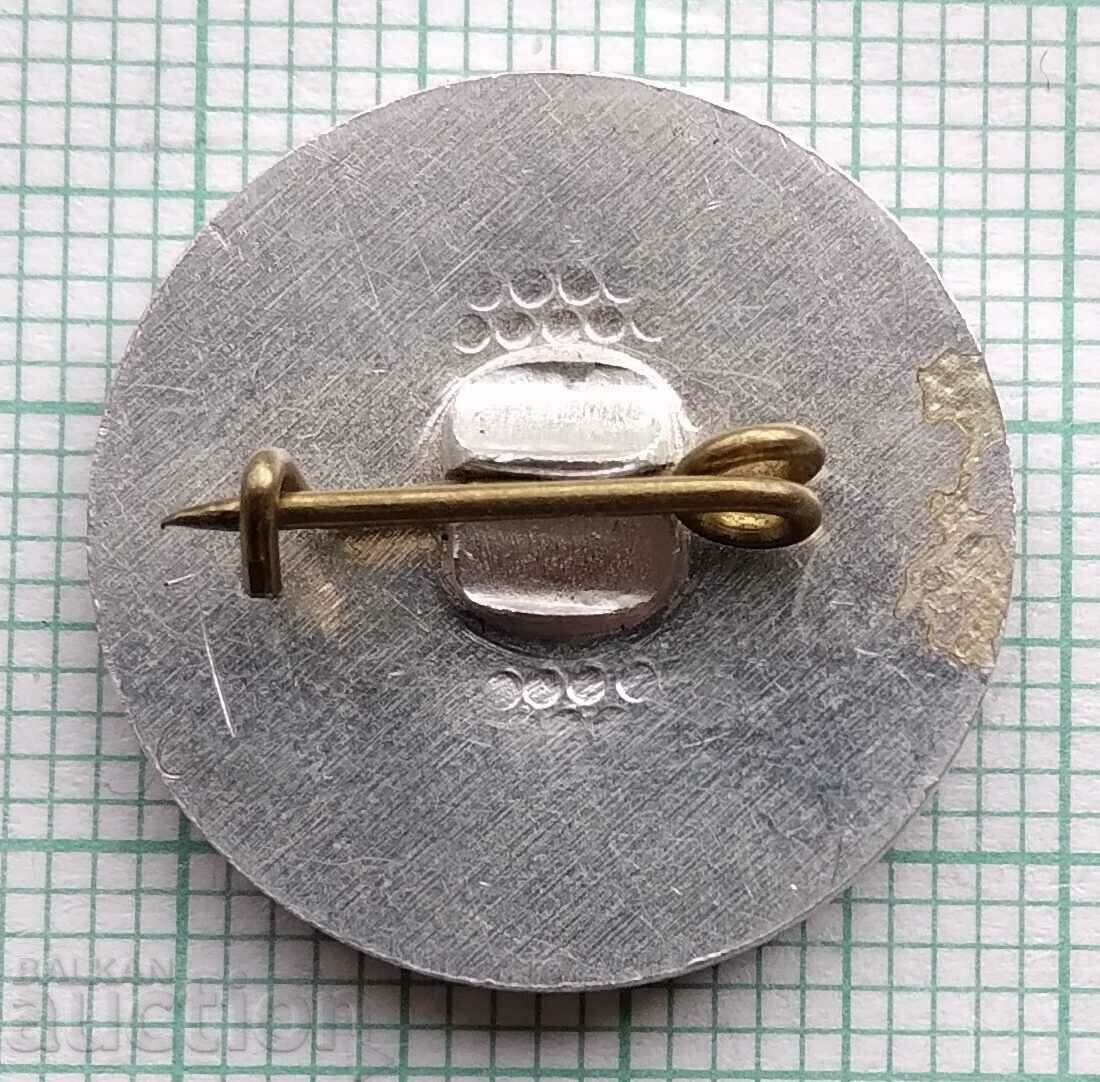 12174 Badge - Albert Einstein with price 2.00 BGN | € 1.02