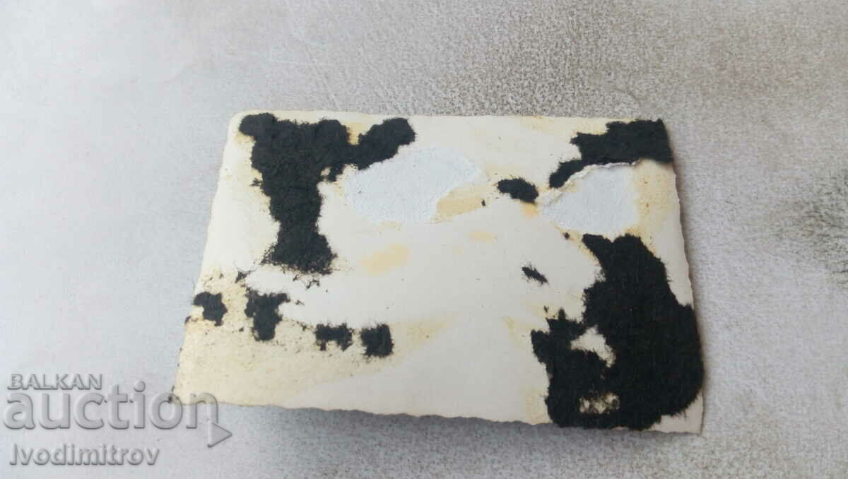 Photo Young man in a vintage truck with price 1.35 BGN | € 0.69