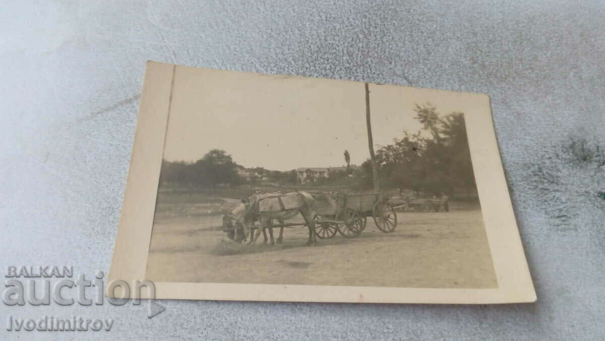 Photo A cart with two horses