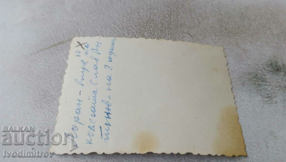 Φωτογραφία ενός μικρού κοριτσιού με τιμή 0.75 BGN | € 0.38 Φωτογραφία ενός μικρού κοριτσιού με τιμή 0.75 BGN | € 0.38