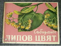 CKS Bilcoop - Collect linden blossom advertising leaflet from the soca