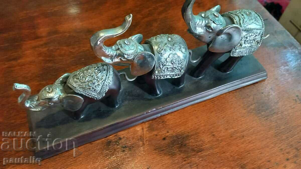 Licitație ELEFANTII