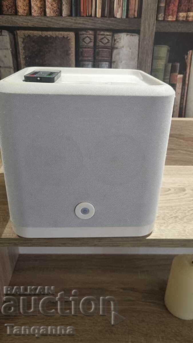 Auction  iPhone docking station