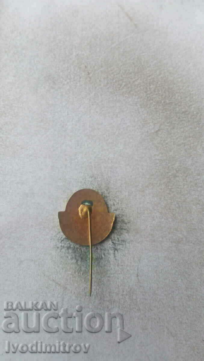 Badge Trade Union of Light and Food Industry Workers with price 8.45 BGN | € 4.32