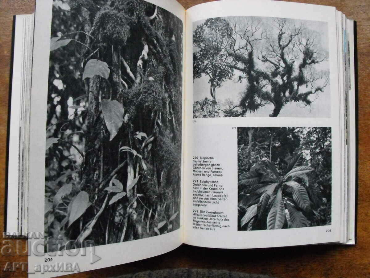 Auction Der Grosse Bildatlas des Waldes /picture atlas, in German/. Auction Der Grosse Bildatlas des Waldes /picture atlas, in German/.