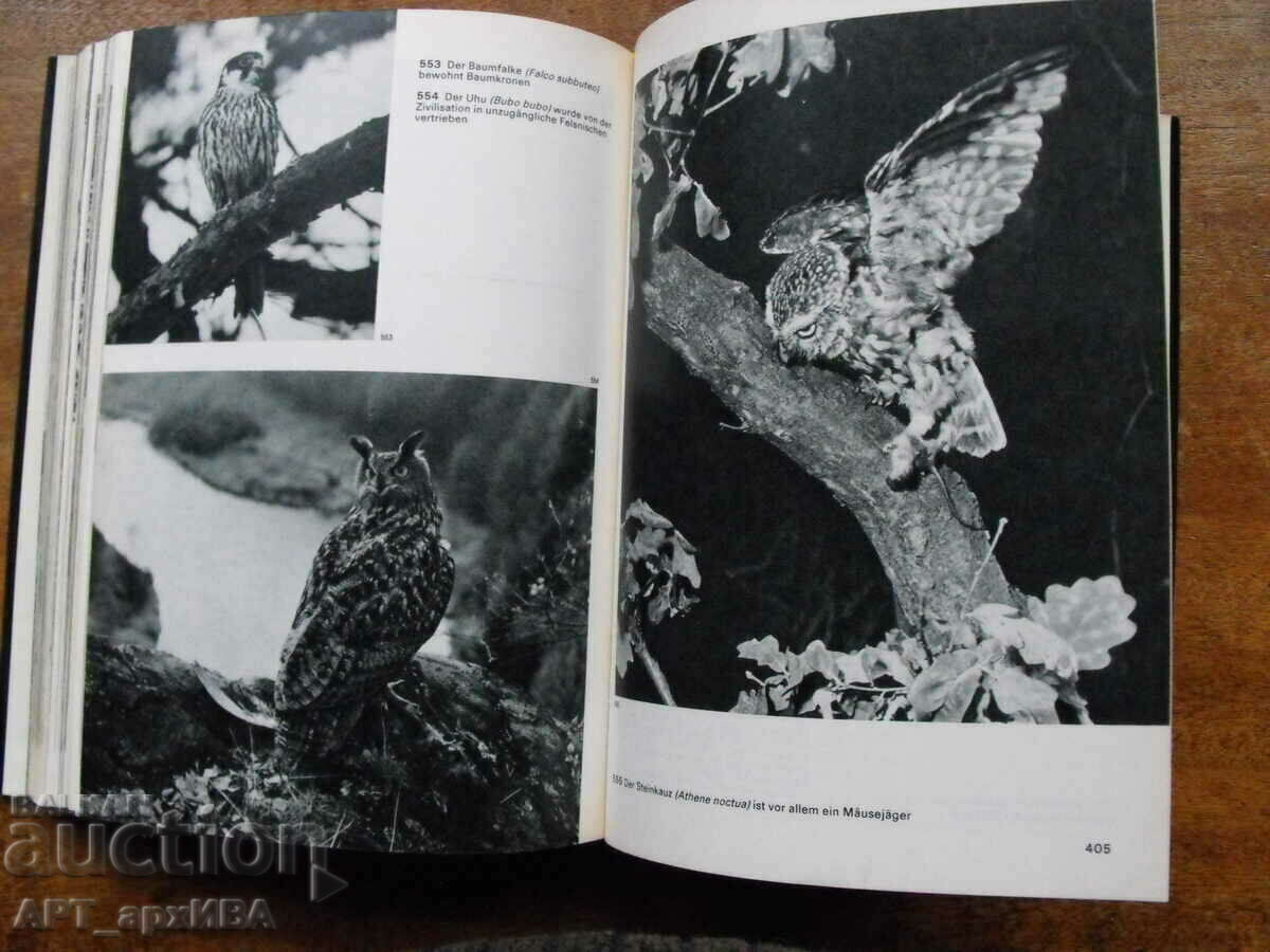 Delivery of Der Grosse Bildatlas des Waldes /picture atlas, in German/. Delivery of Der Grosse Bildatlas des Waldes /picture atlas, in German/.