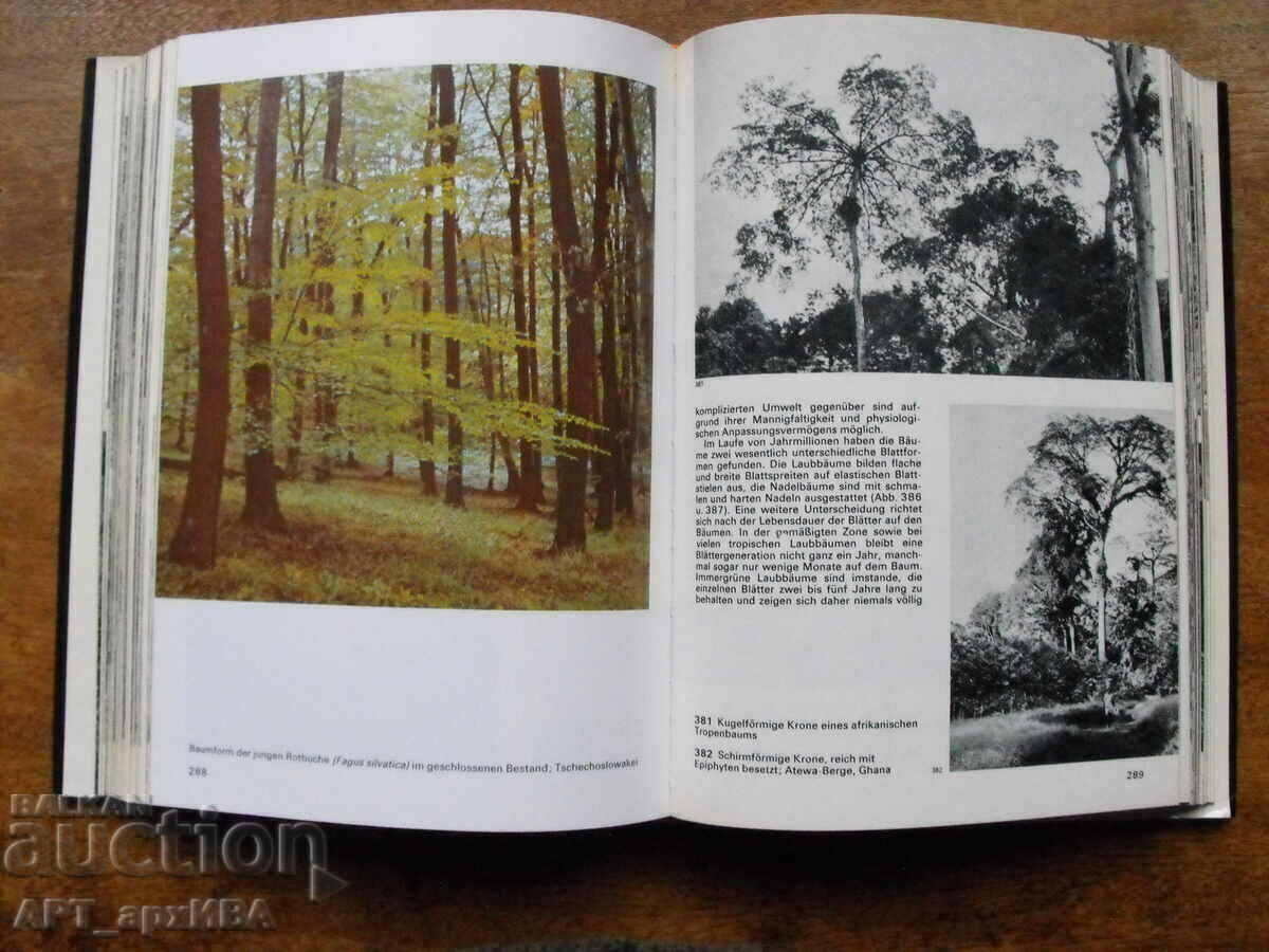 Der Grosse Bildatlas des Waldes /picture atlas, in German/. - 5 Der Grosse Bildatlas des Waldes /picture atlas, in German/. - 5