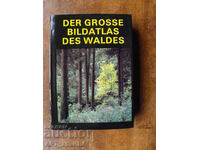Der Grosse Bildatlas des Waldes /atlas de imagini, în germană/.