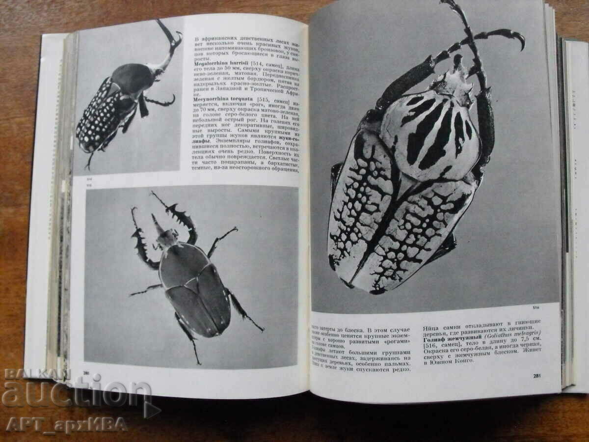 Auction Illustrated encyclopedia of insects /in Russian/. Auction Illustrated encyclopedia of insects /in Russian/.