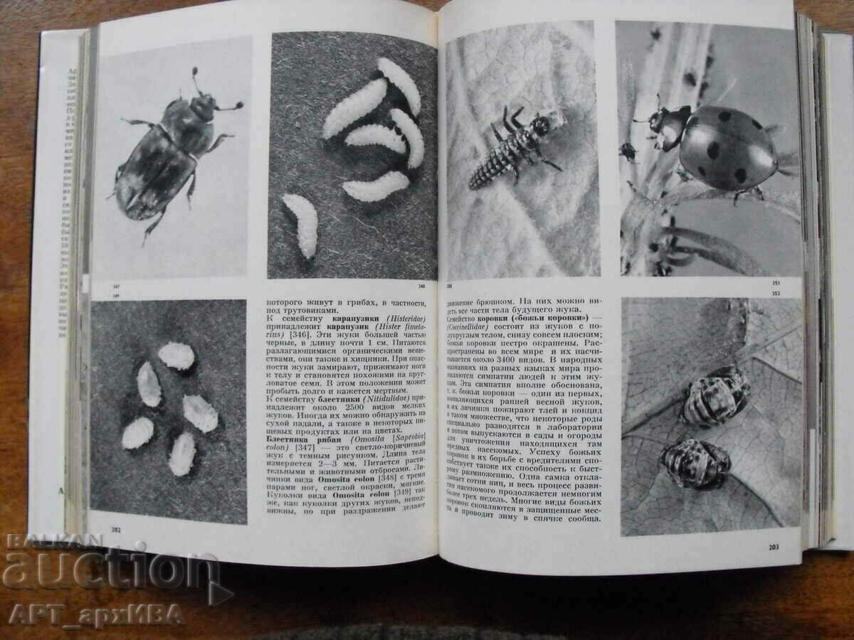Delivery of Illustrated encyclopedia of insects /in Russian/. Delivery of Illustrated encyclopedia of insects /in Russian/.