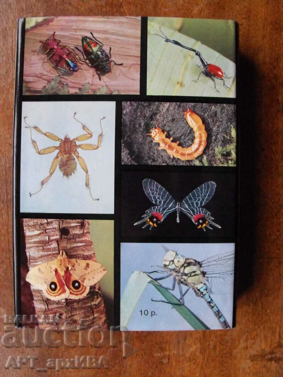 Illustrated encyclopedia of insects /in Russian/. - 6 Illustrated encyclopedia of insects /in Russian/. - 6