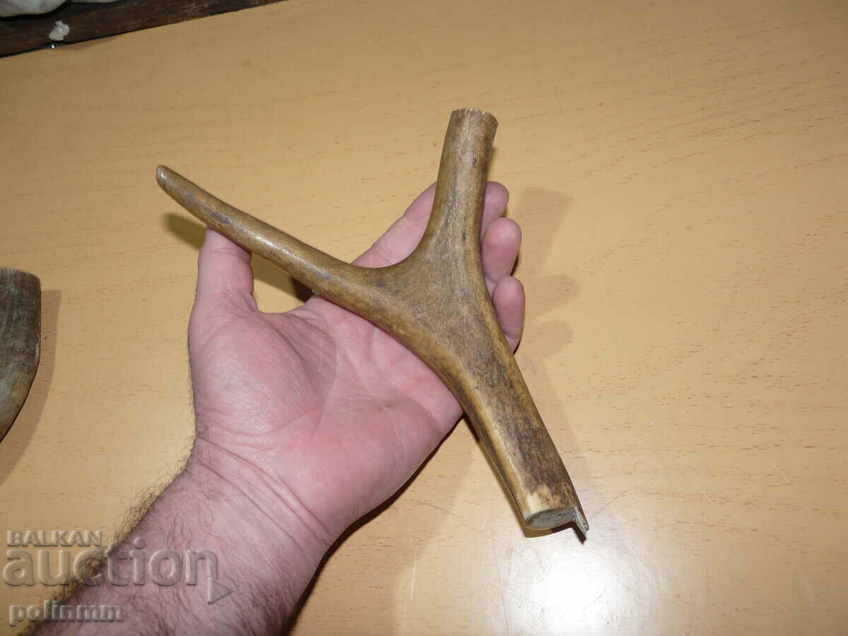 Bucată de corn de cerb - 1 Bucată de corn de cerb - 1