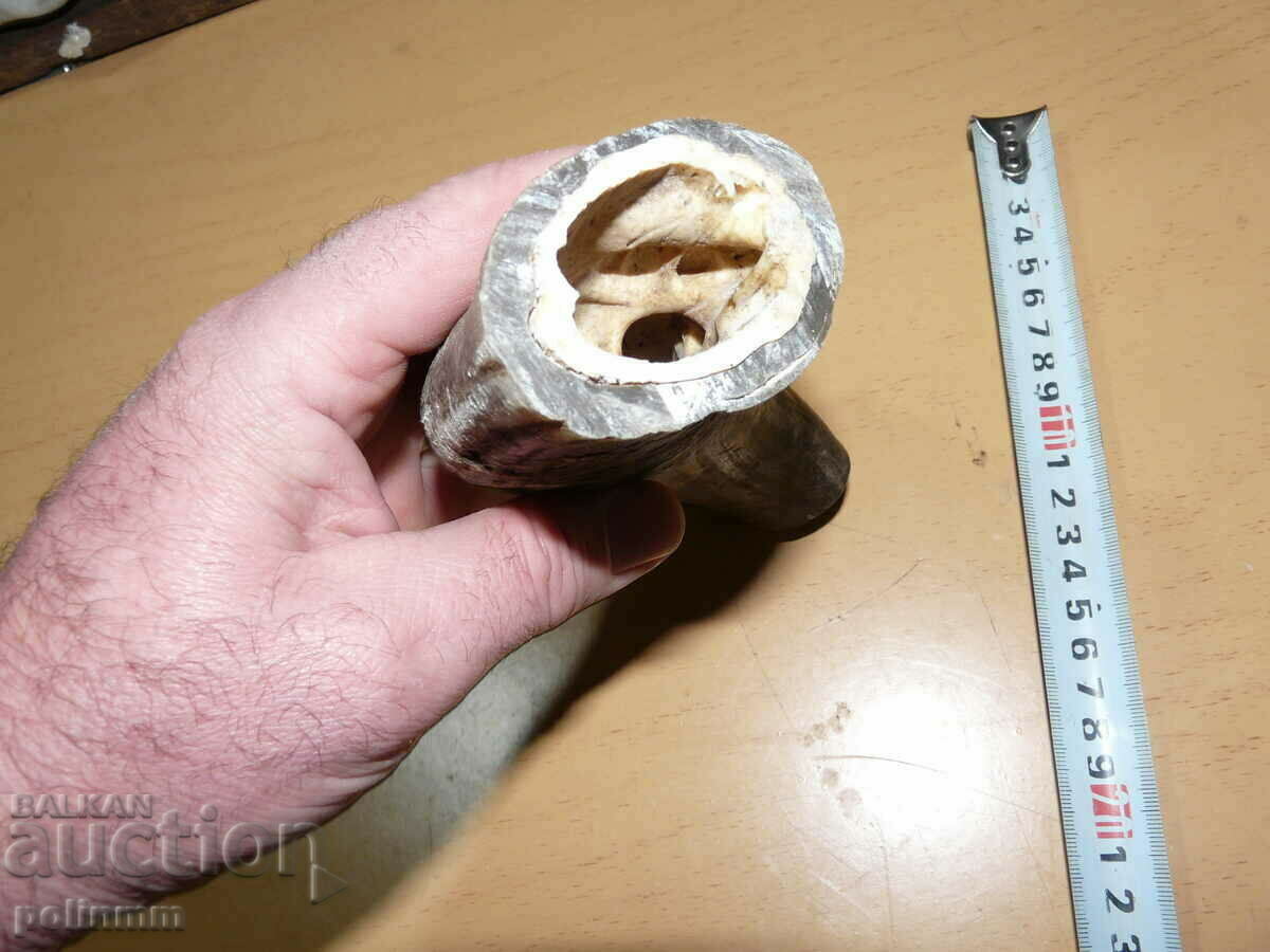 Old cow horn - 2 with price 20.00 BGN | € 10.23 Old cow horn - 2 with price 20.00 BGN | € 10.23