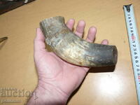 Old cow horn - 2