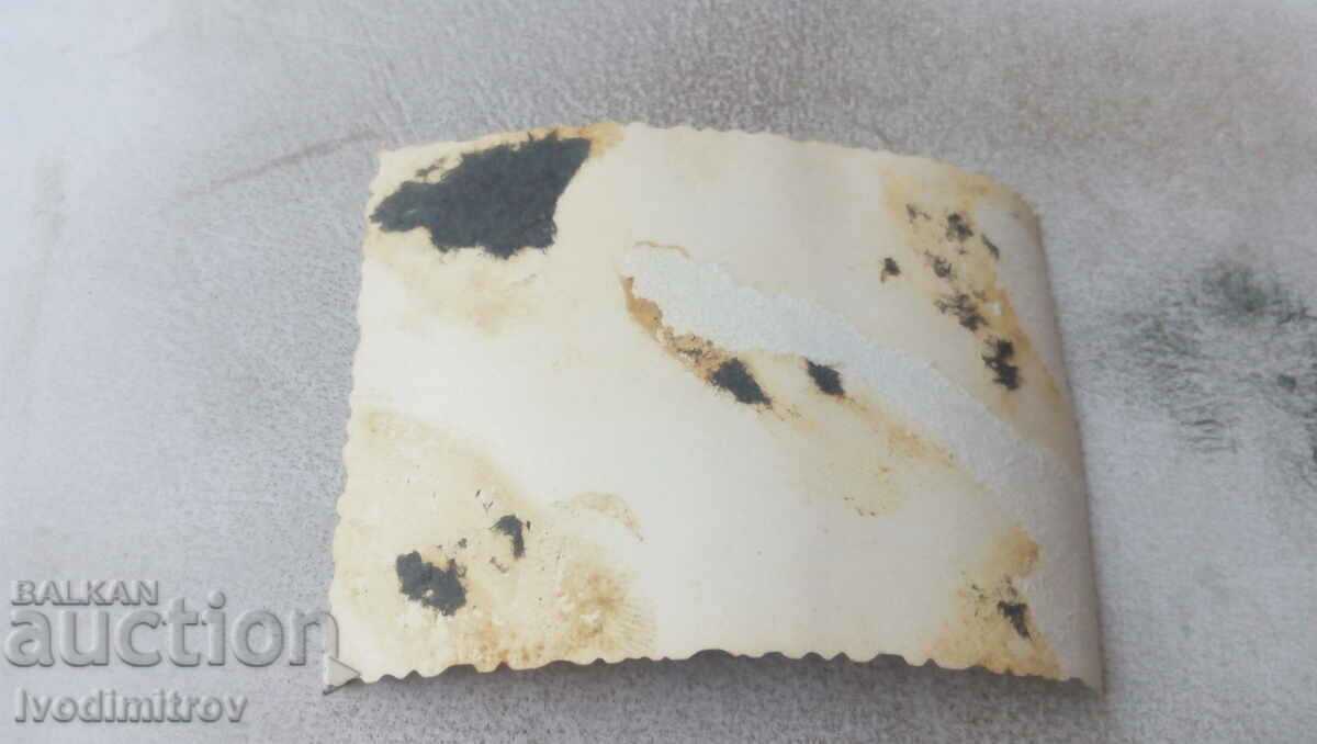 Photo Horo on the square with price 0.85 BGN | € 0.43 Photo Horo on the square with price 0.85 BGN | € 0.43