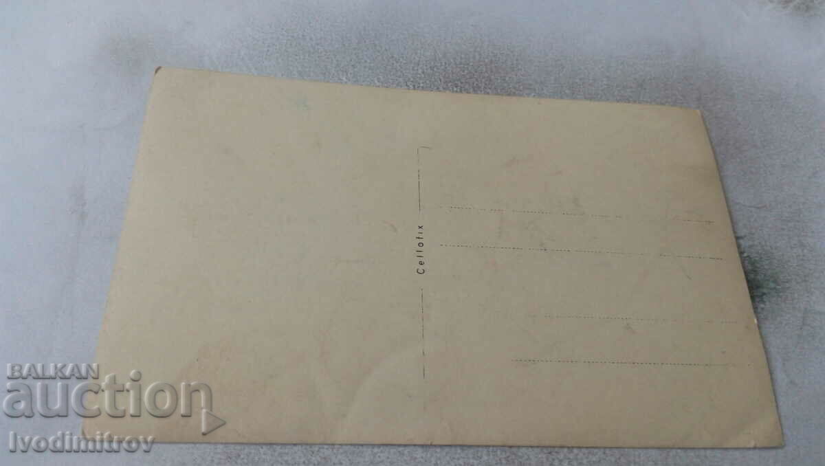 Photo Man, women and little boys on a meadow with price 0.85 BGN | € 0.43 Photo Man, women and little boys on a meadow with price 0.85 BGN | € 0.43