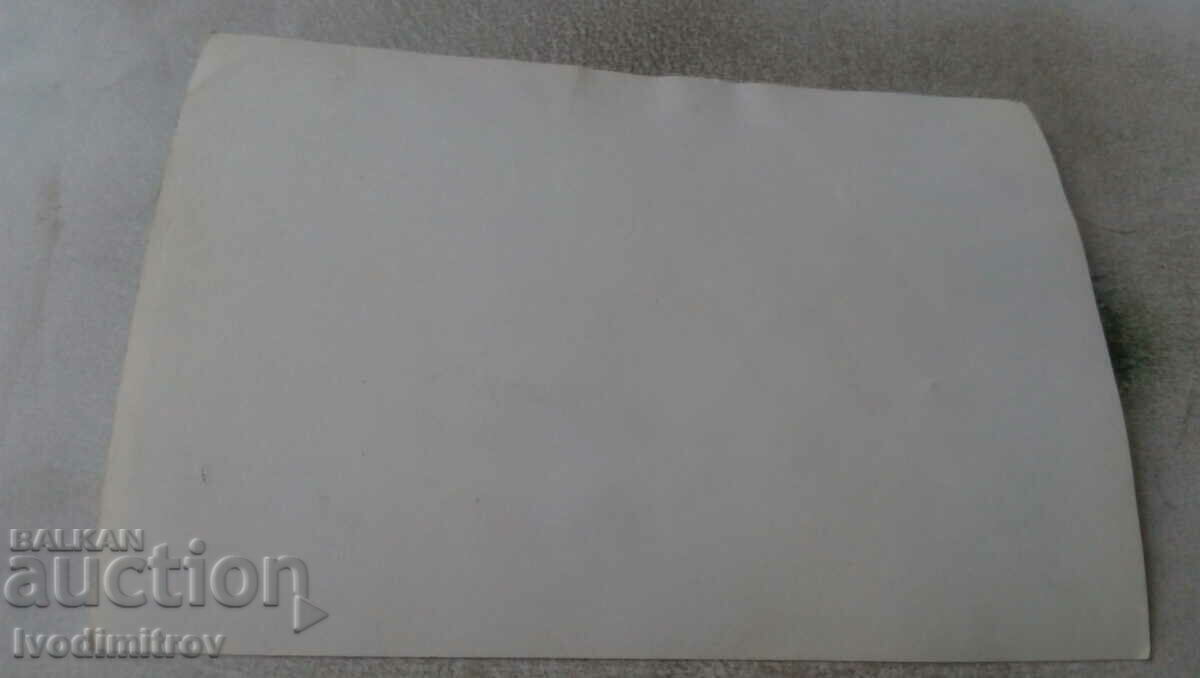 Photo of newlyweds with their friends with price 0.75 BGN | € 0.38 Photo of newlyweds with their friends with price 0.75 BGN | € 0.38