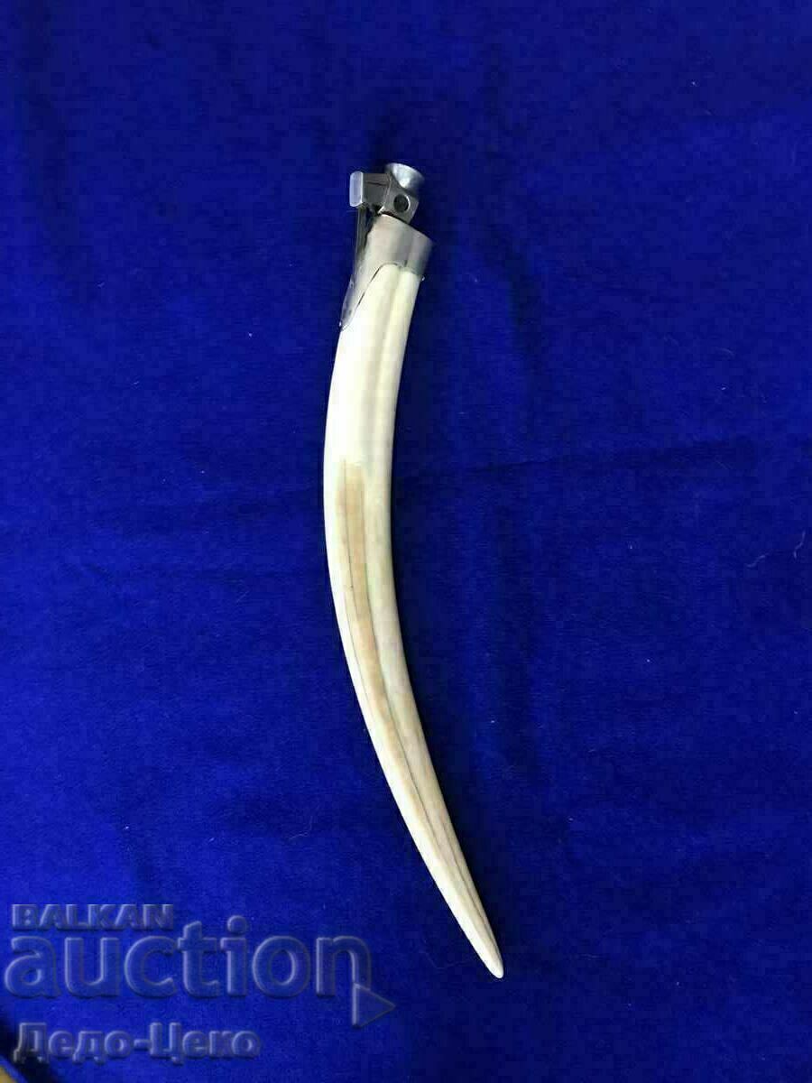 Walrus tooth cigar cutter with price 1100.00 BGN | € 562.42 Walrus tooth cigar cutter with price 1100.00 BGN | € 562.42