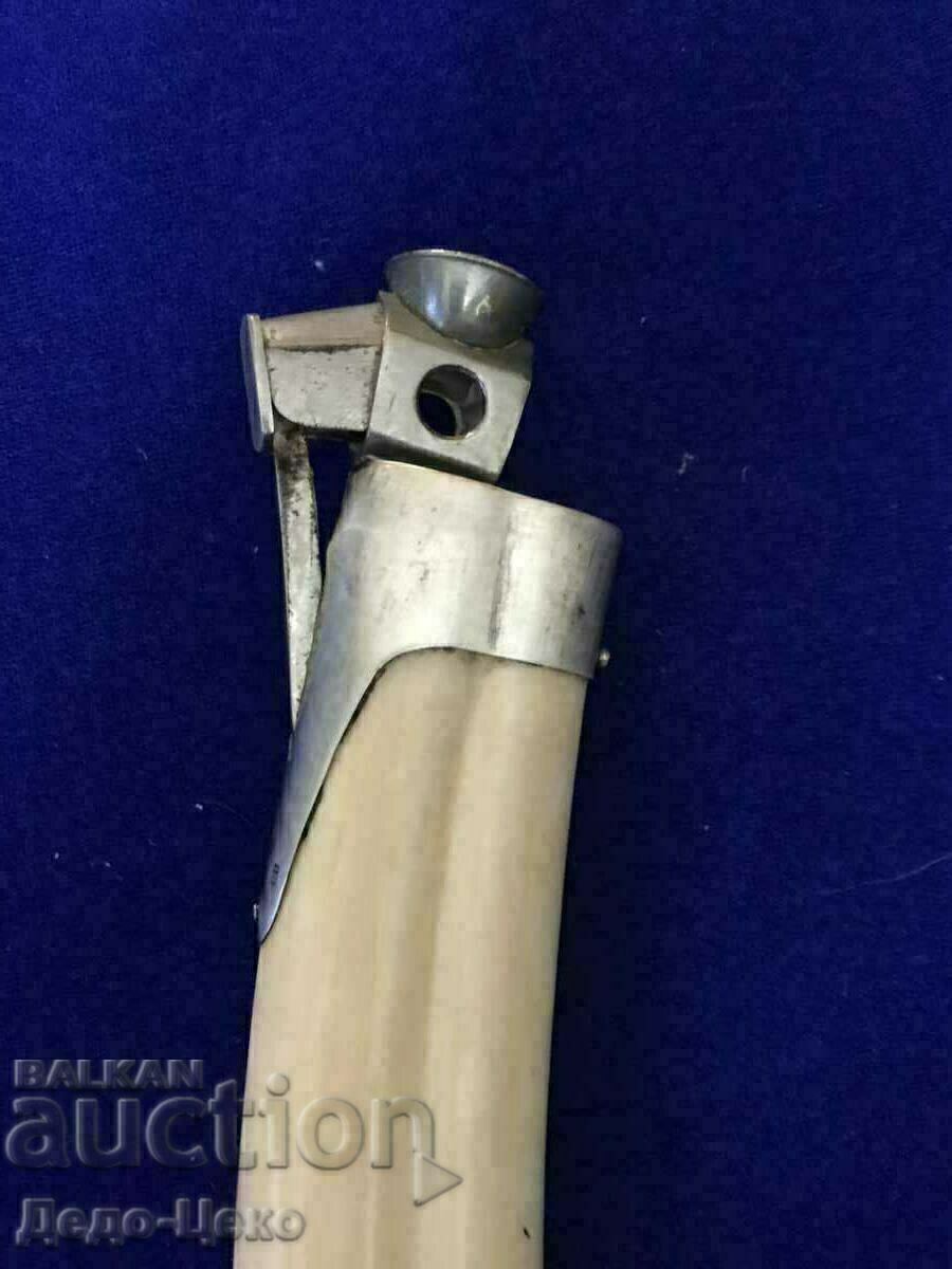 Delivery of Walrus tooth cigar cutter Delivery of Walrus tooth cigar cutter