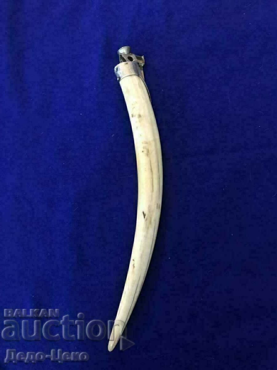 Walrus tooth cigar cutter - 7 Walrus tooth cigar cutter - 7