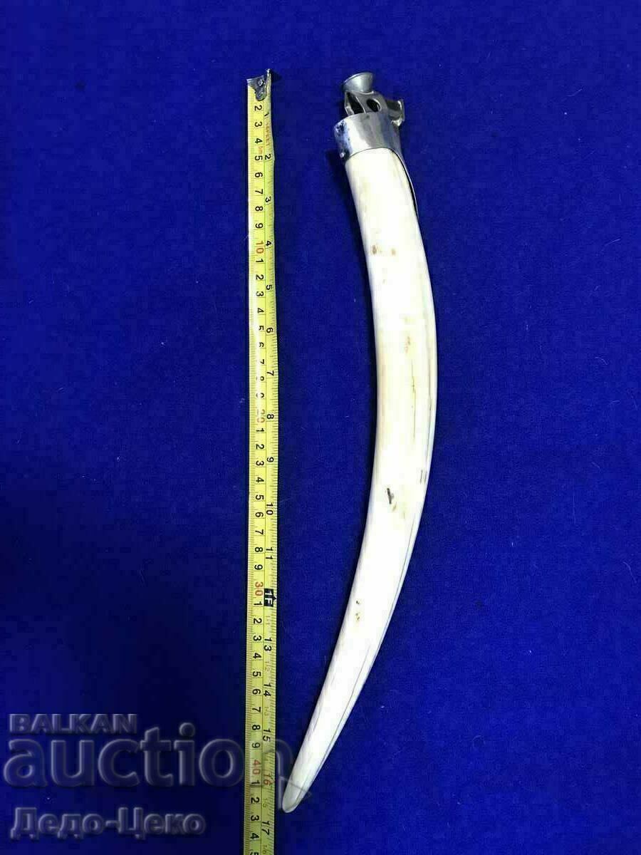 Walrus tooth cigar cutter Walrus tooth cigar cutter