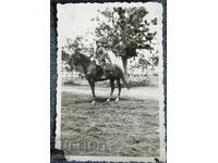 PSV officer horse photo photo