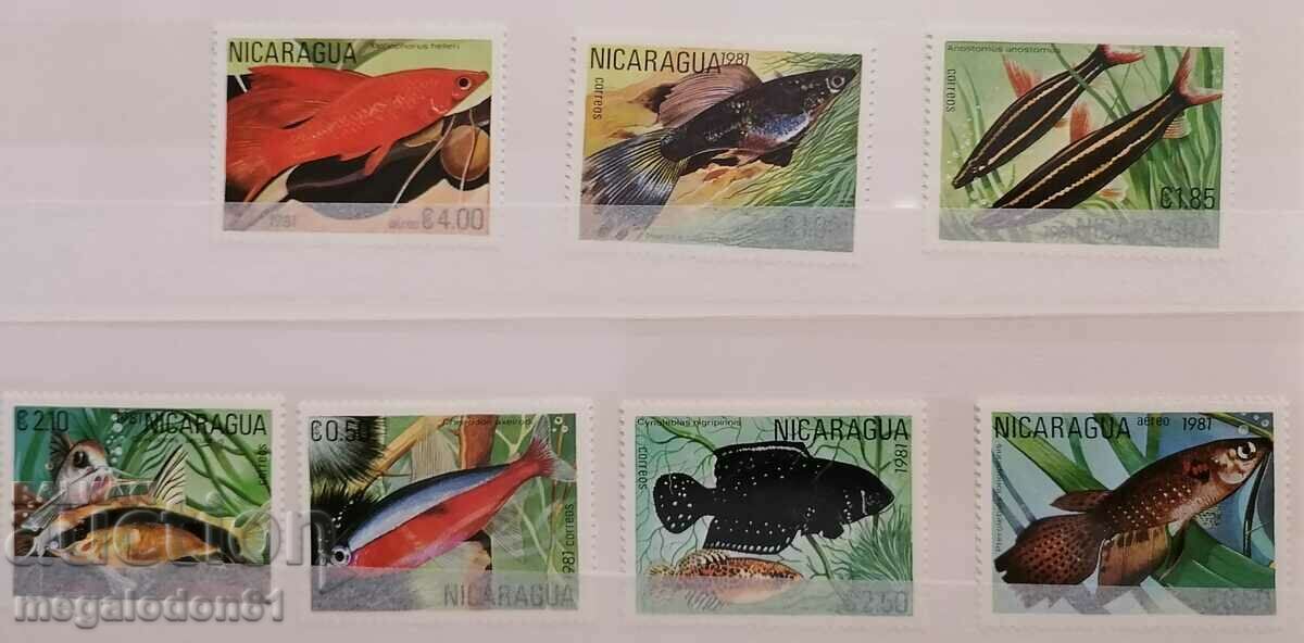 Νικαράγουα - ψάρια ενυδρείου