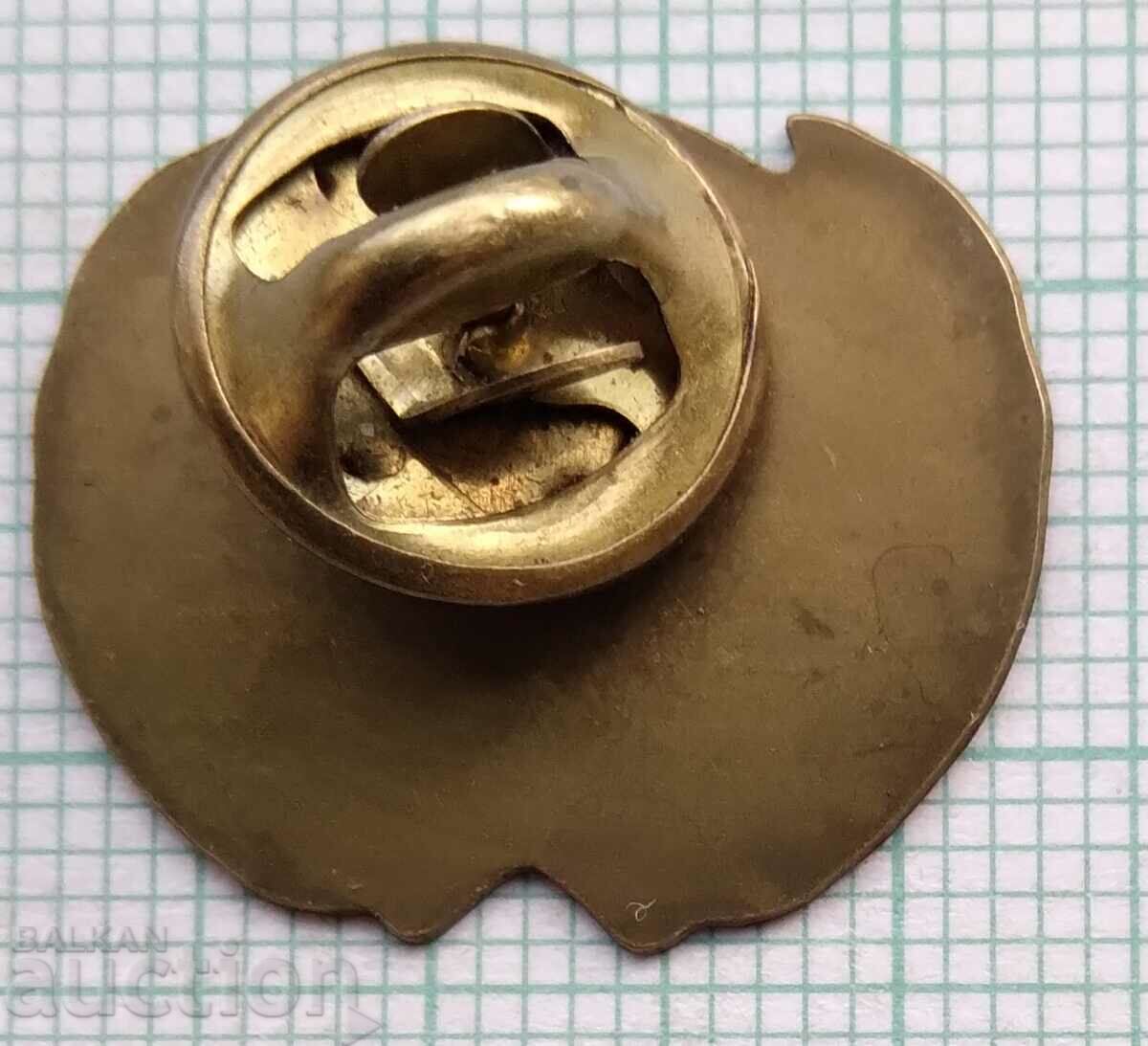 12365 Значка - Световни организации с цена 3.00 лв. | € 1.53 12365 Значка - Световни организации с цена 3.00 лв. | € 1.53