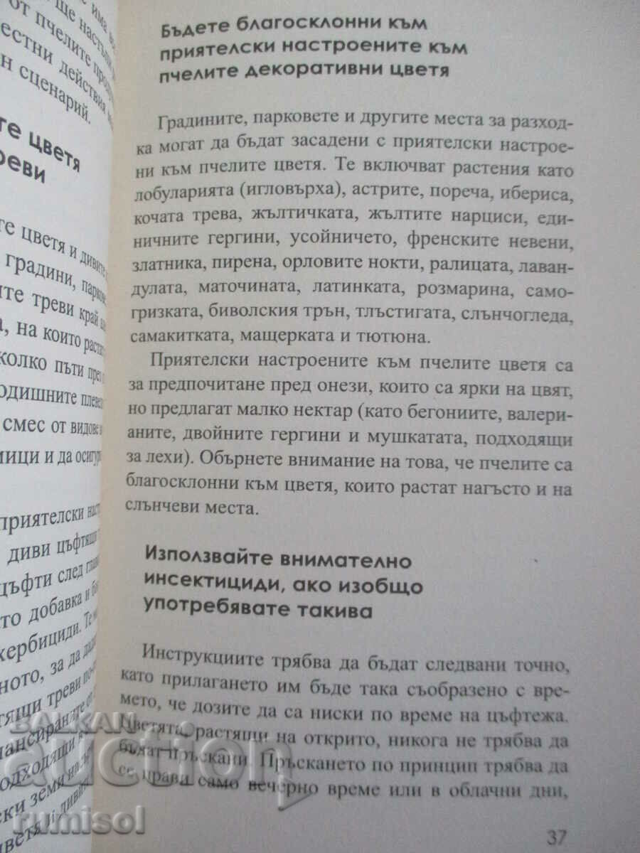 Auction The Miracle of Honey - Penny Stanaway Auction The Miracle of Honey - Penny Stanaway