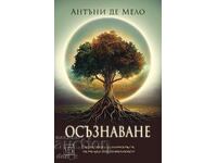 Осъзнаване