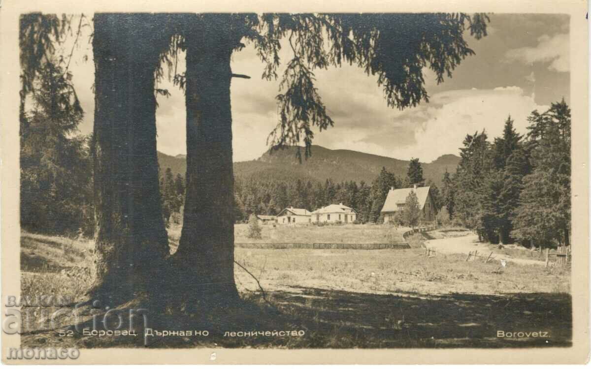 Old card - Borovets, State Forestry