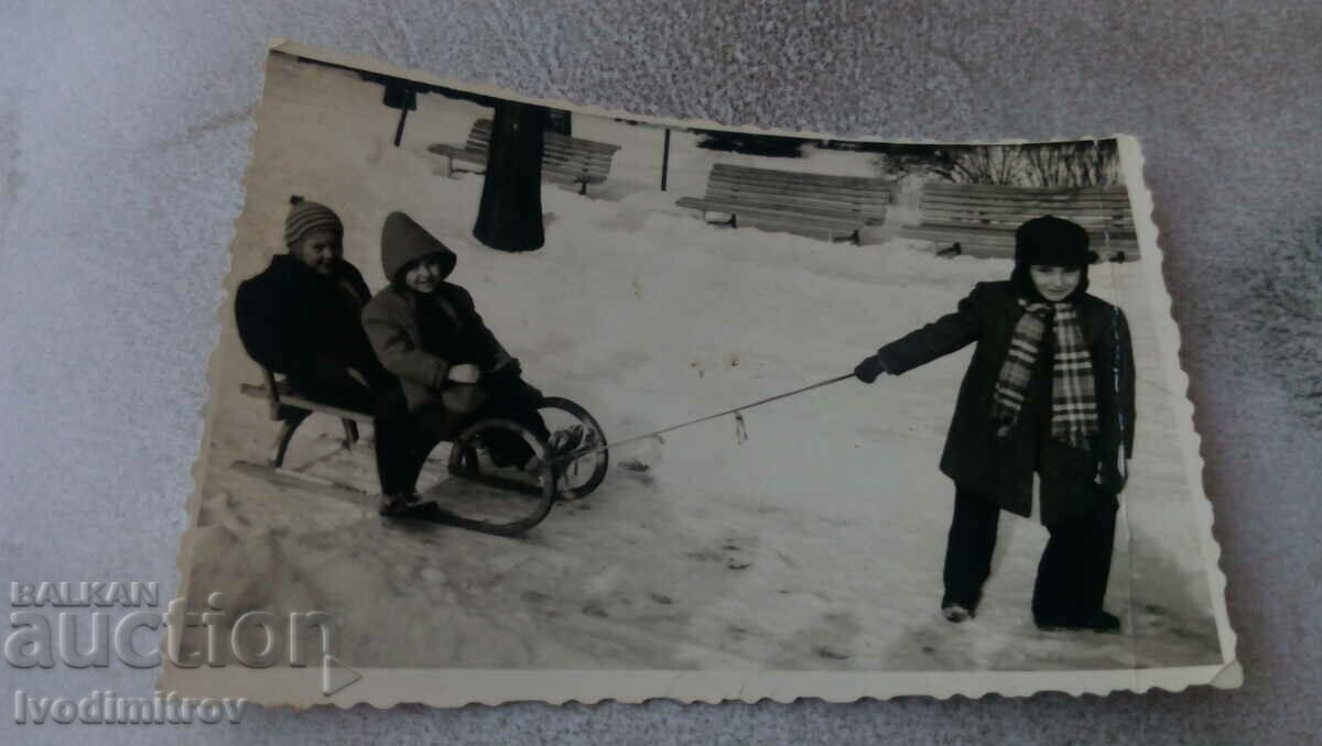 Foto Trei copii cu sanie în parc iarna