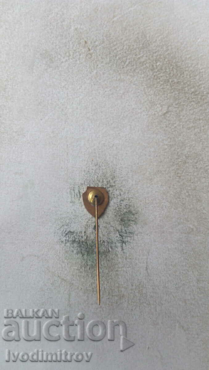 T. S. Wisla Krakow 1906 badge with price 3.65 BGN | € 1.87