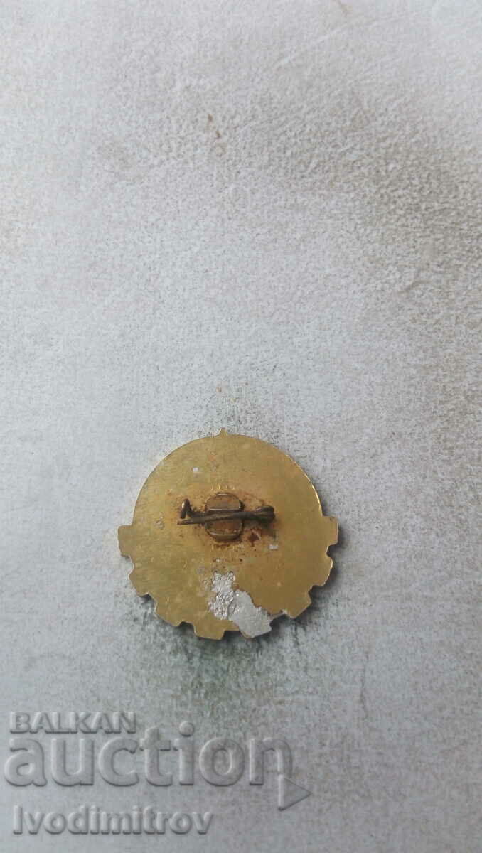 DSO badge Water management For many years of work with price 2.85 BGN | € 1.46 DSO badge Water management For many years of work with price 2.85 BGN | € 1.46