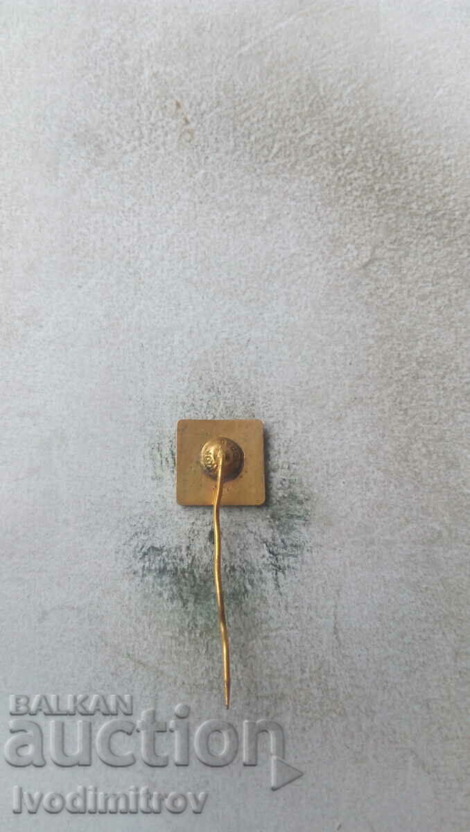 Catex 100 Years Badge 1874 - 1974 with price 3.45 BGN | € 1.76 Catex 100 Years Badge 1874 - 1974 with price 3.45 BGN | € 1.76